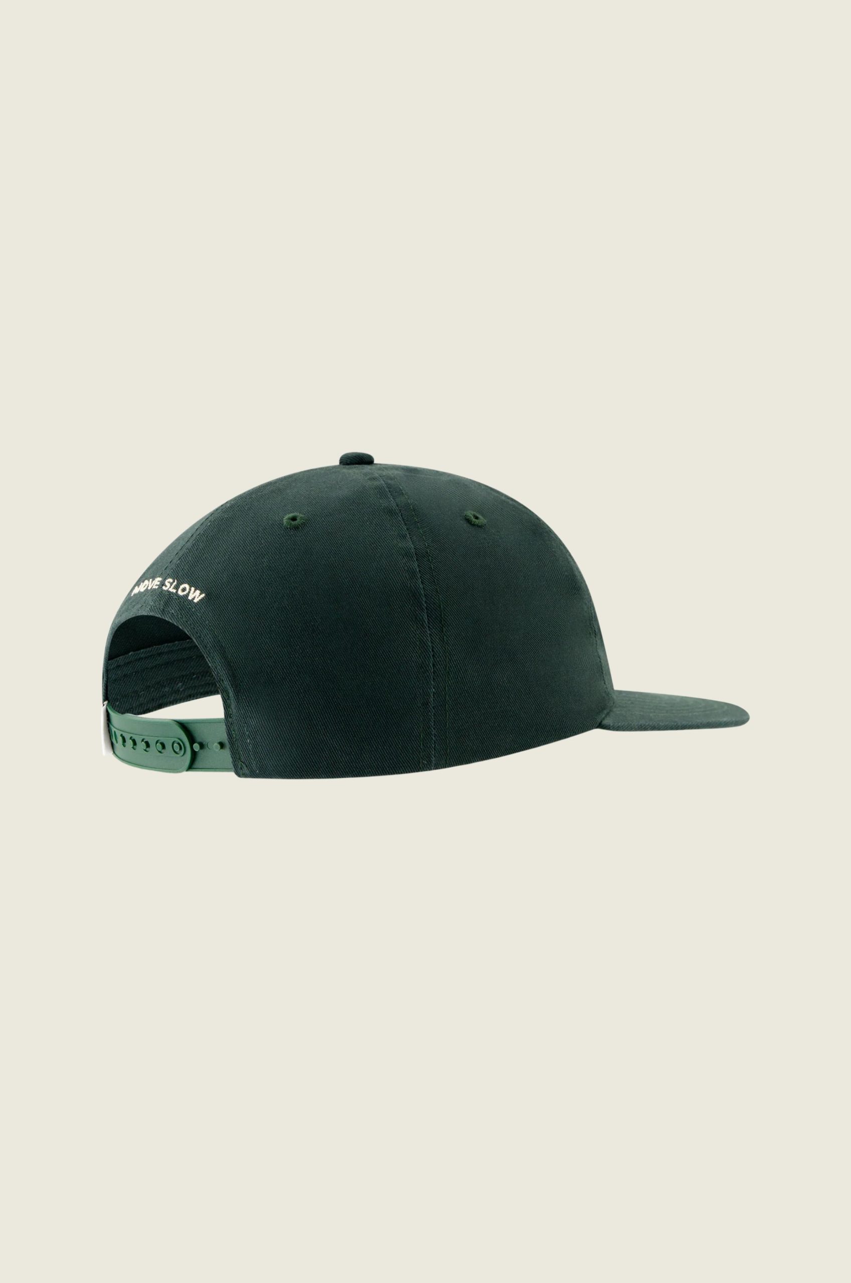 H_O_P_Cap__2